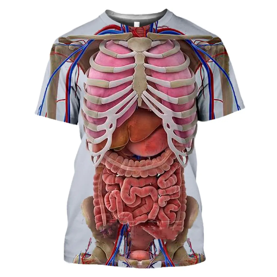 3D Printing Diagram - Male Skeleton Internal Organs 3D Printing