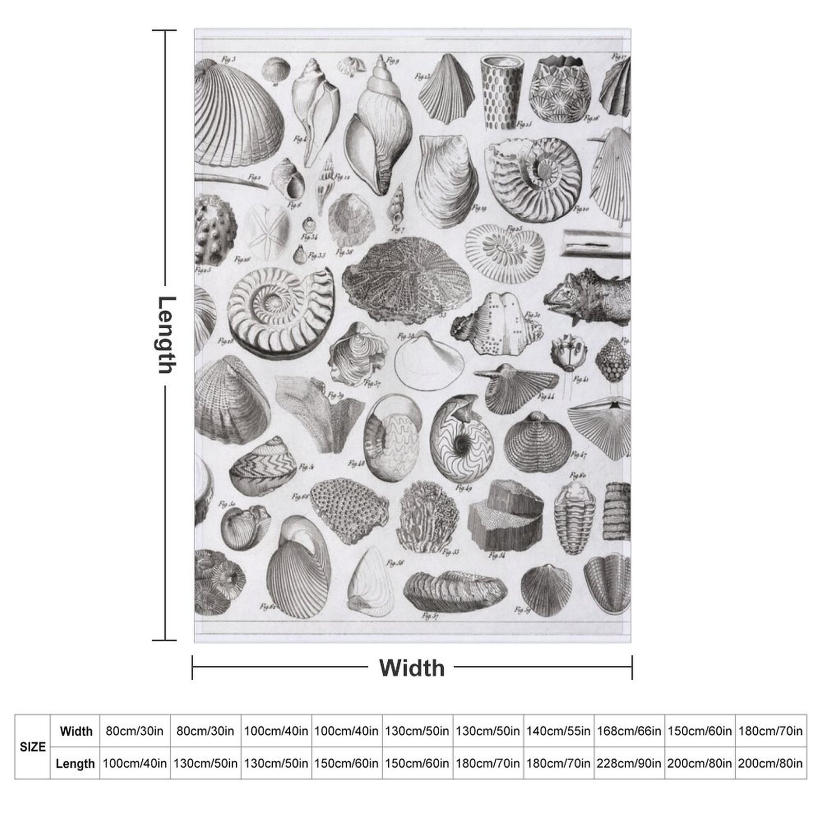 1857 Diagram Paleontology: Fos - 3D Printing Diagram incelemesi ve fiyatı