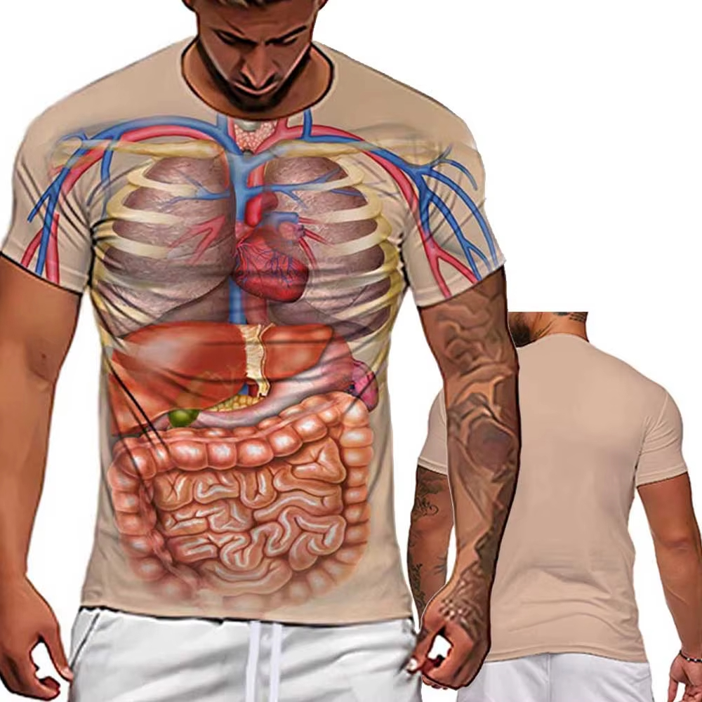 Male Skeleton Internal Organs  - 3D Printing Diagram incelemesi ve fiyatı