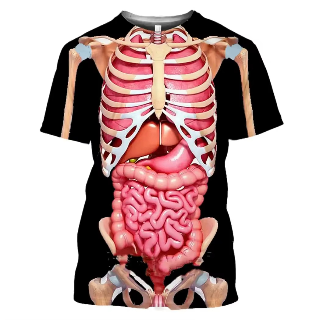 Male Skeleton Internal Organs  - 3D Printing Diagram incelemesi ve fiyatı