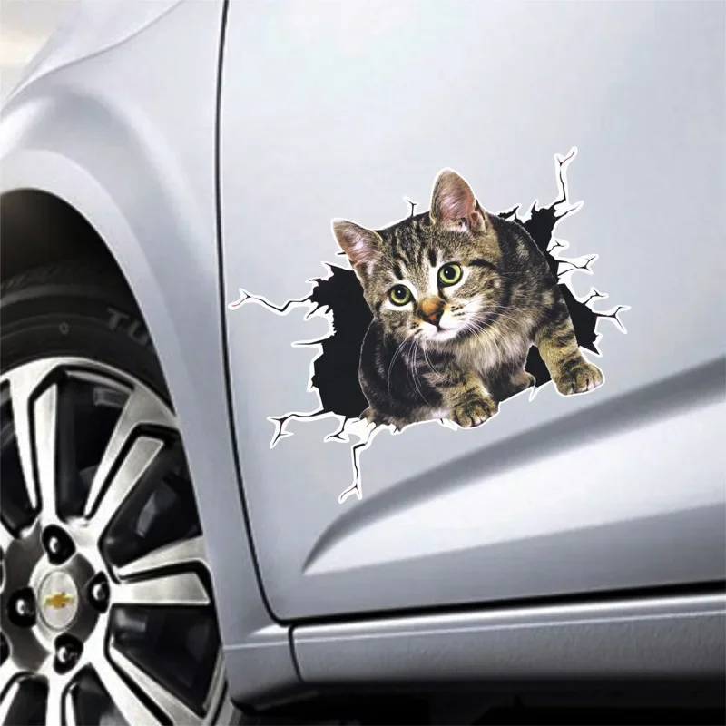 3D Simulation of Cute Cats Pee - 3D Printing Car incelemesi ve fiyatı