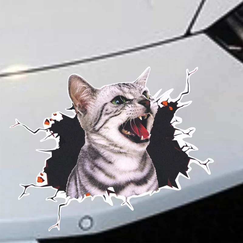 3D Simulation of Cute Cats Pee - 3D Printing Car incelemesi ve fiyatı