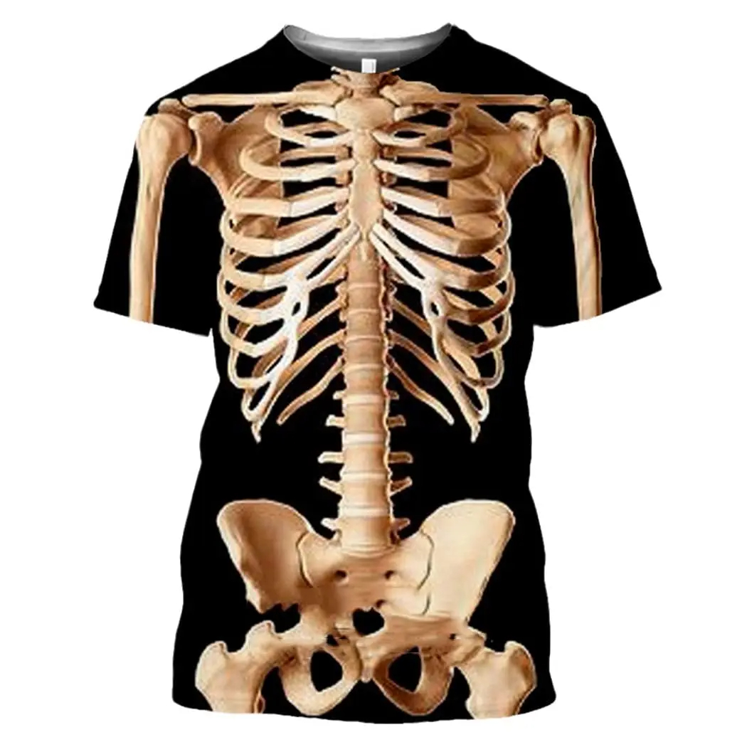 Male Skeleton Internal Organs  - 3D Printing Diagram incelemesi ve fiyatı