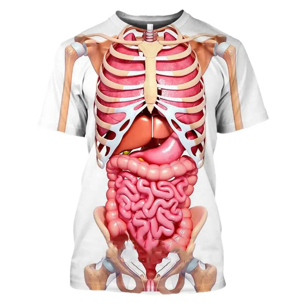 Male Skeleton Internal Organs  - 3D Printing Diagram incelemesi ve fiyatı
