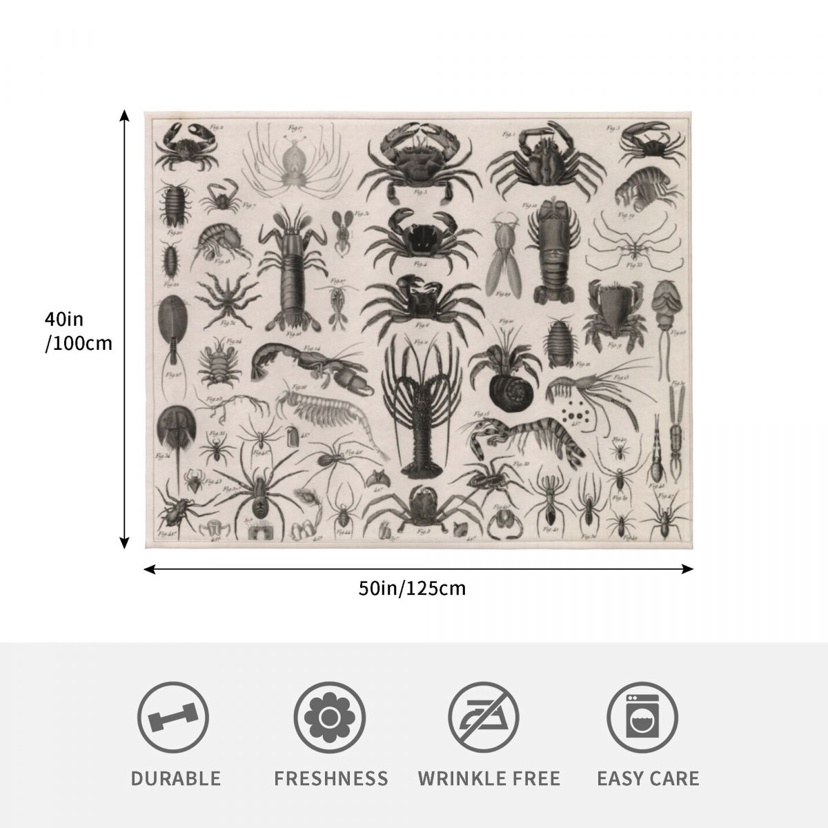 1857 Diagram Zoology: Animals  - 3D Printing Diagram incelemesi ve fiyatı